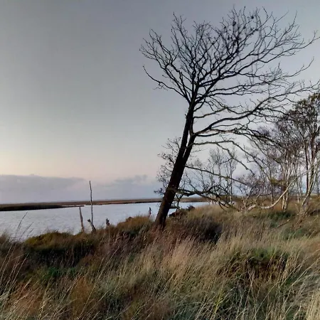 Haus Reihernest 別荘