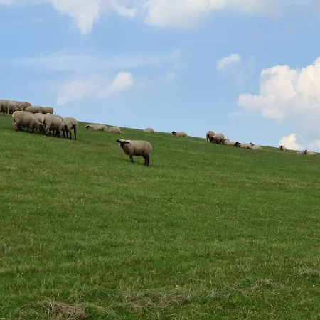 Nyaraló Haus Reihernest *