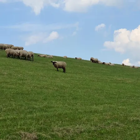 Haus Reihernest Sehestedt (Lower-Saxony)